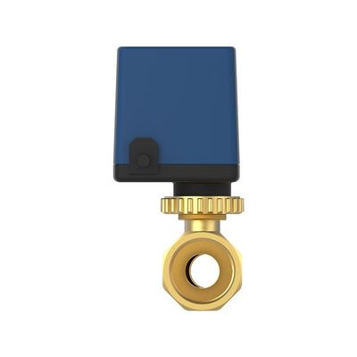 IP55 Brass Motorized Ball Valve / 2Way , 3Way Electric Operated Ball Valve